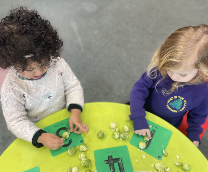 Children counting sprouts over number cards at Wind in the Willows